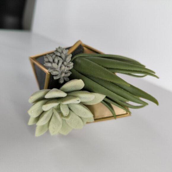 Bath & Body Works Succulent Geometric Planter Wallflower Diffuser Plug In Holder - Picture 8 of 9